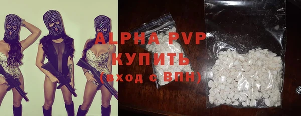 прущие грибы Верея