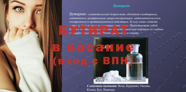 прущие грибы Верея
