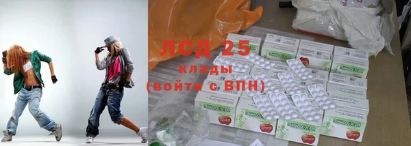 прущие грибы Верея