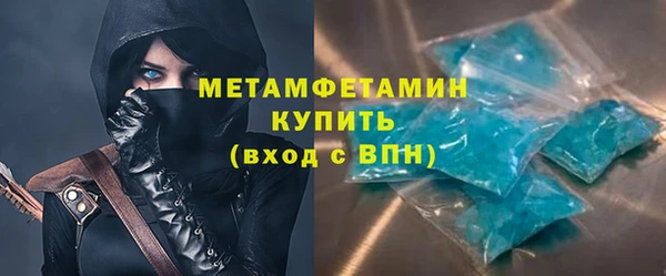 прущие грибы Верея
