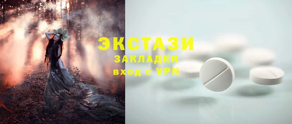 прущие грибы Верея