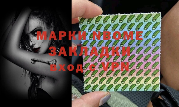 прущие грибы Верея