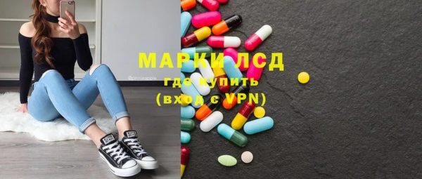 прущие грибы Верея